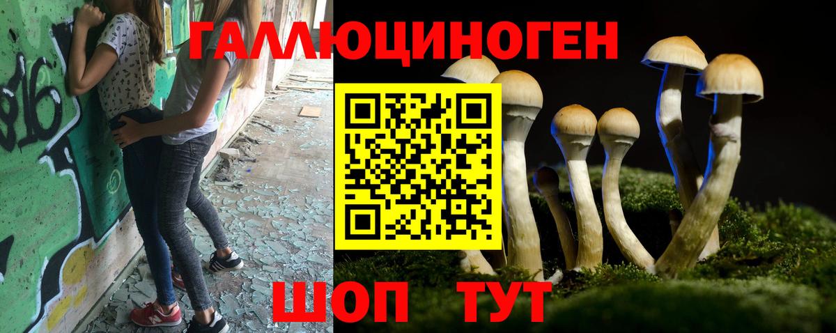 Псилоцибиновые грибы Cubensis Моршанск
